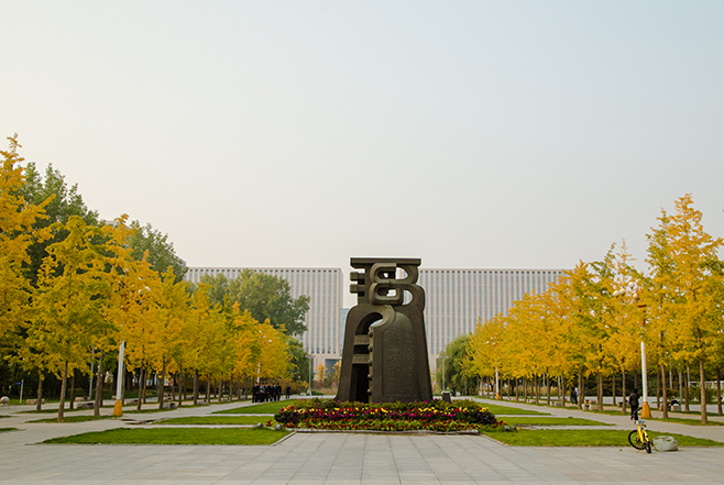 68D01F2CE9671DD4CA1B038B487_1A98CD2B_45039